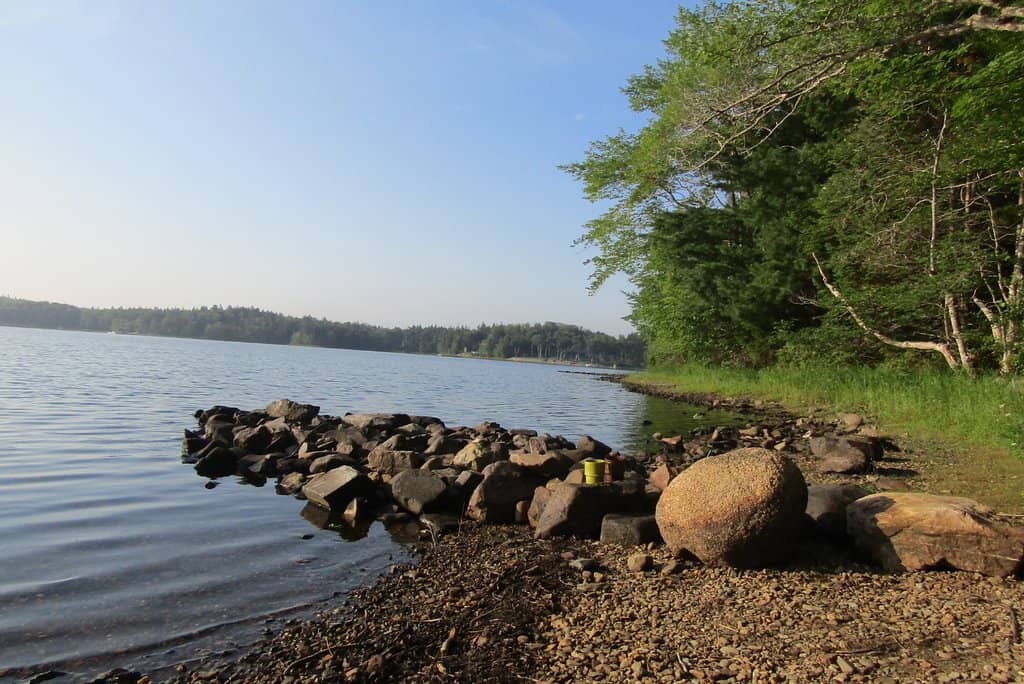 Wooded Campsites