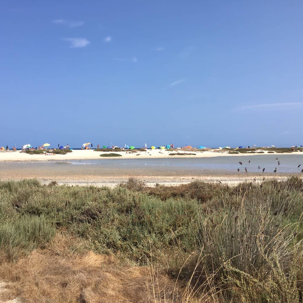 Kitezone Beach Restaurant