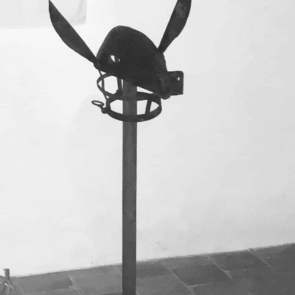 Vertical photo