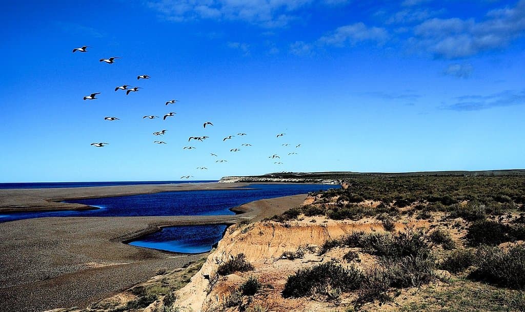 Caleta Valdés Península Valdés
