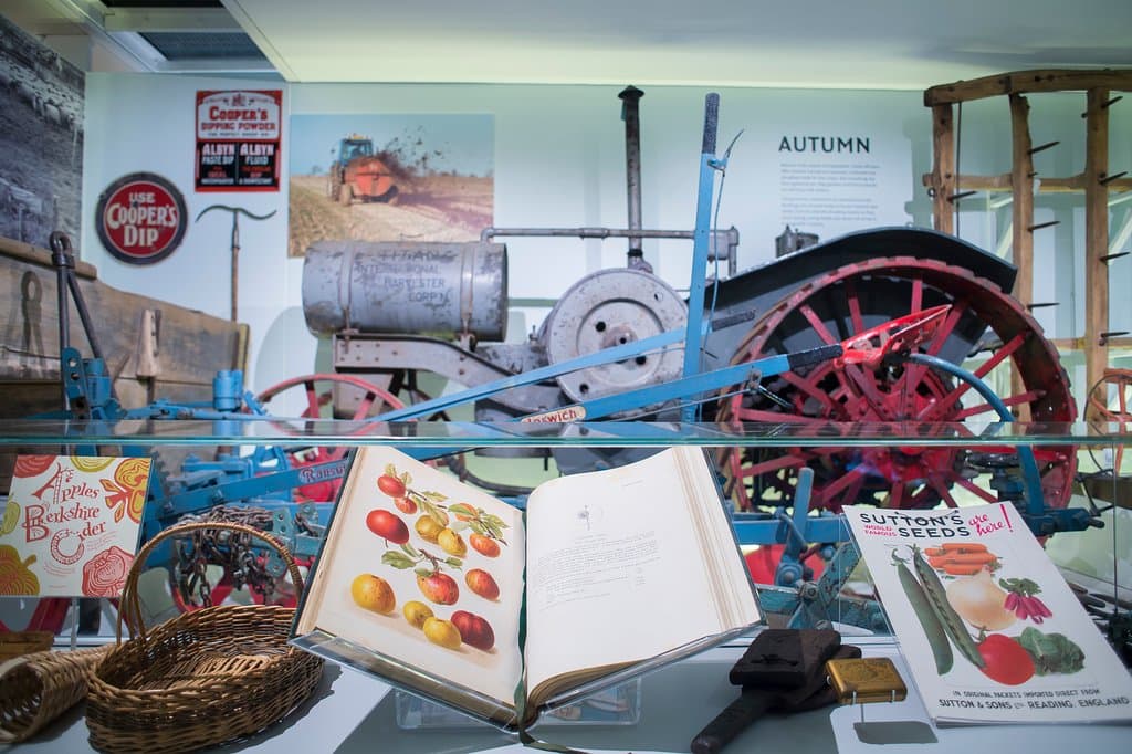 The new displays include fascinating material from our archive and library collections