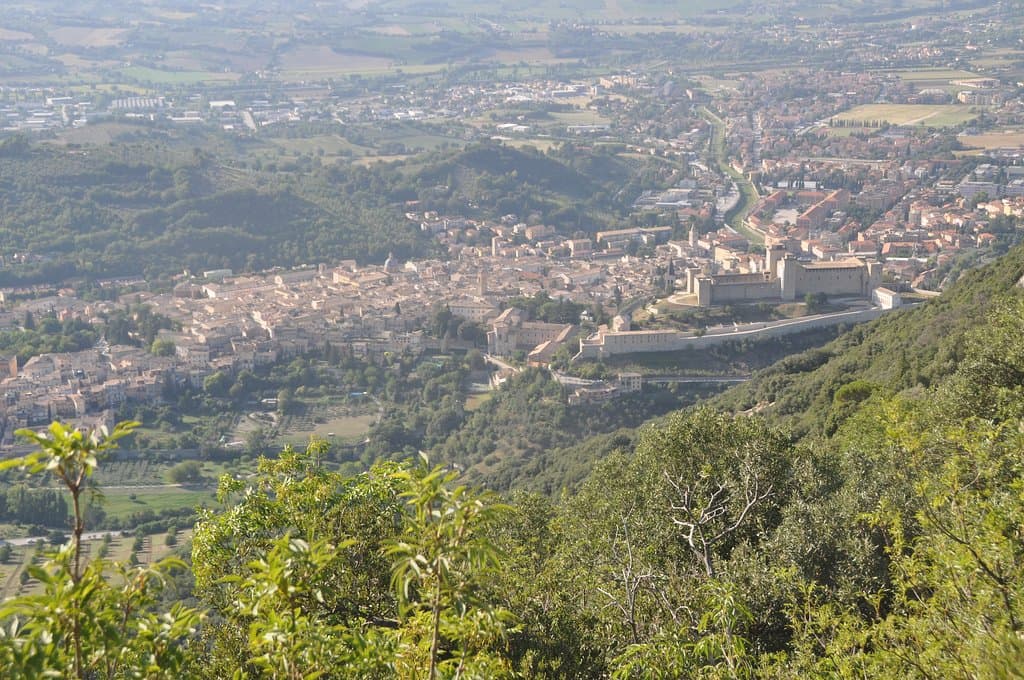 spolete