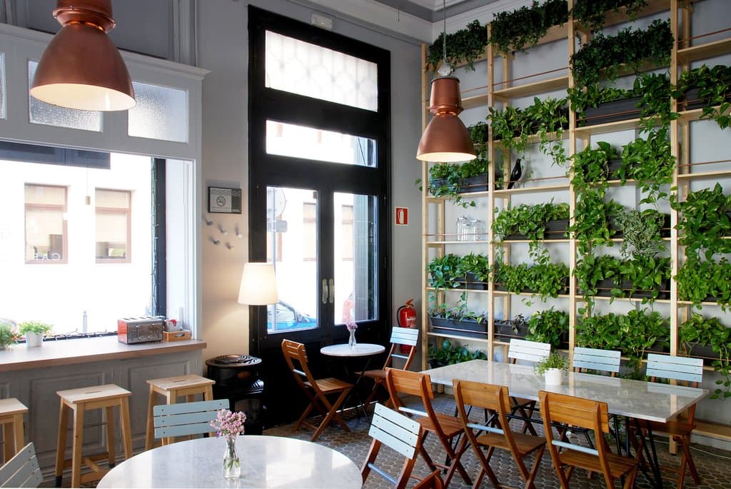 Nuestro patio exterior y nuestro jardín vertical. Perfecto para tus desayunos!