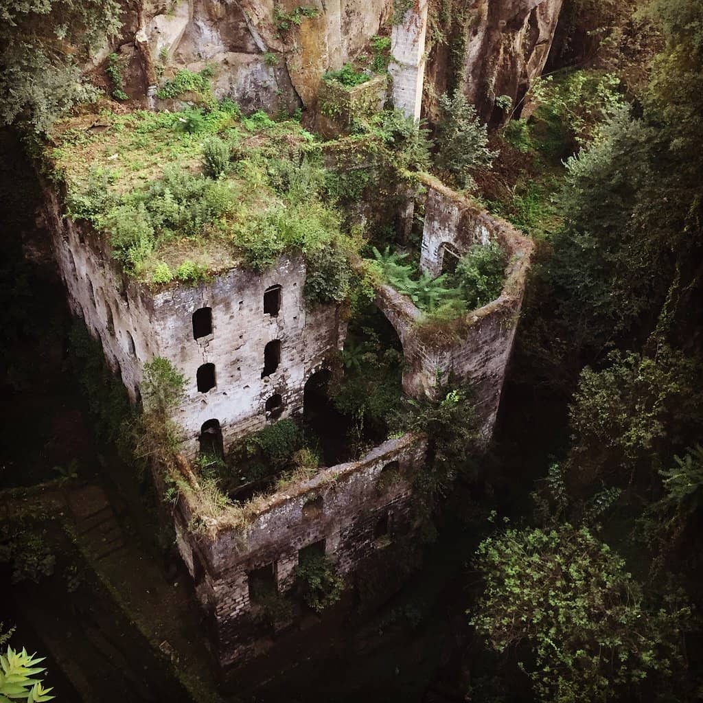 Nature's Reclamation