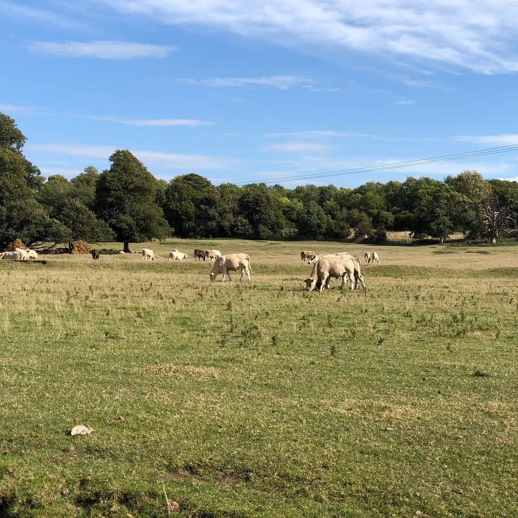 Floodplain Forest Nature Reserve