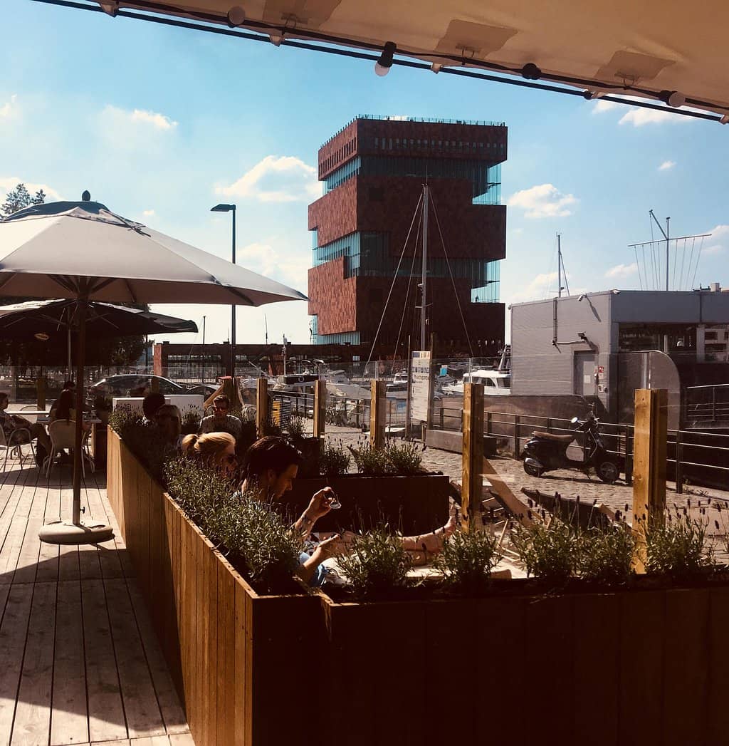 WOLF Sharing Food Market