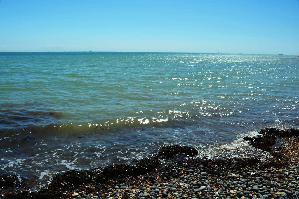 Peaceful Coastal Walks