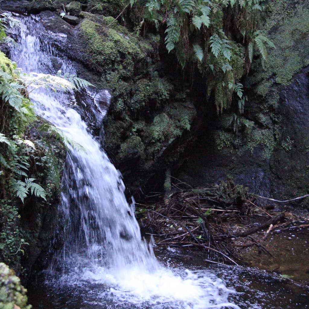 Cascading Waterfalls