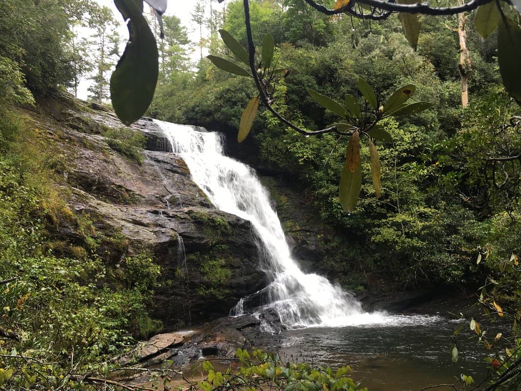 Vertical photo