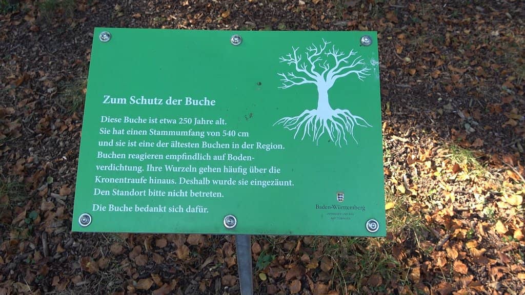 Themed Plant Collections