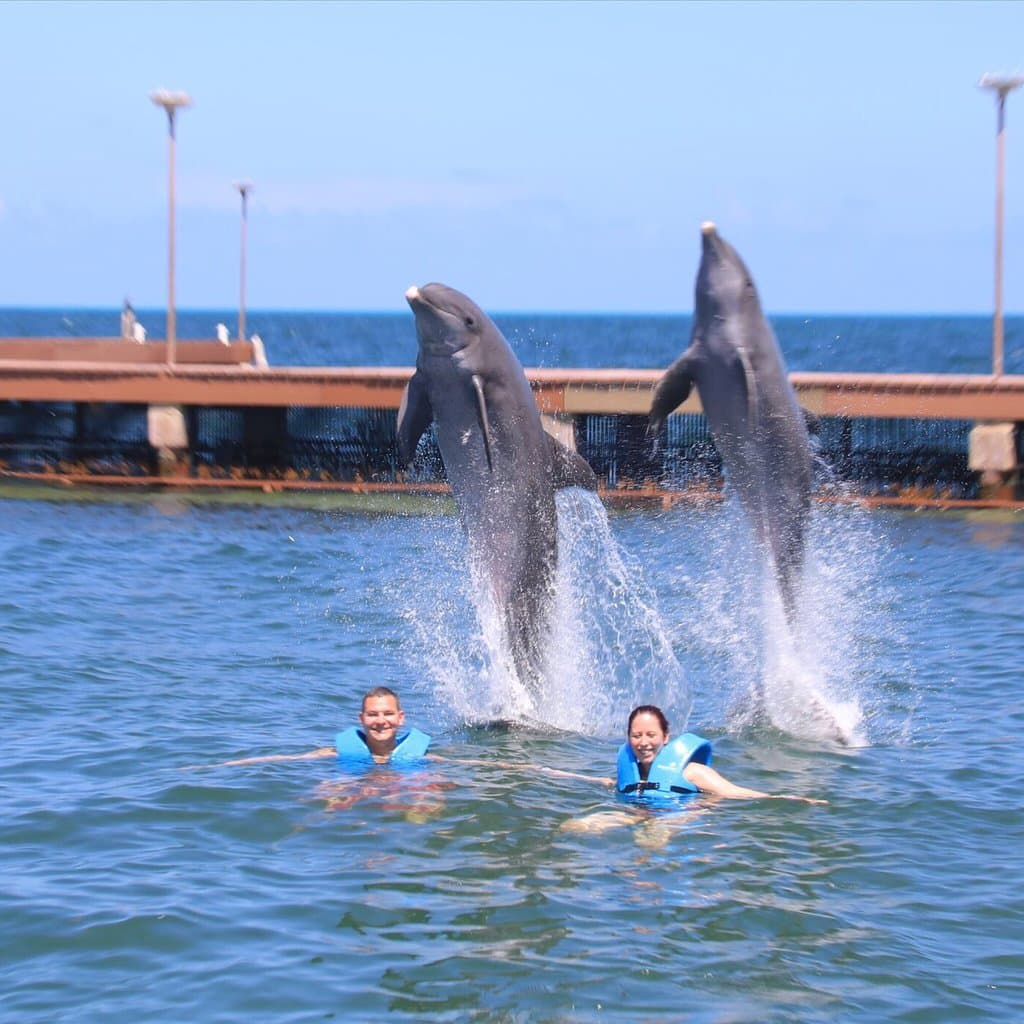 Delphinus Dreams Cancun