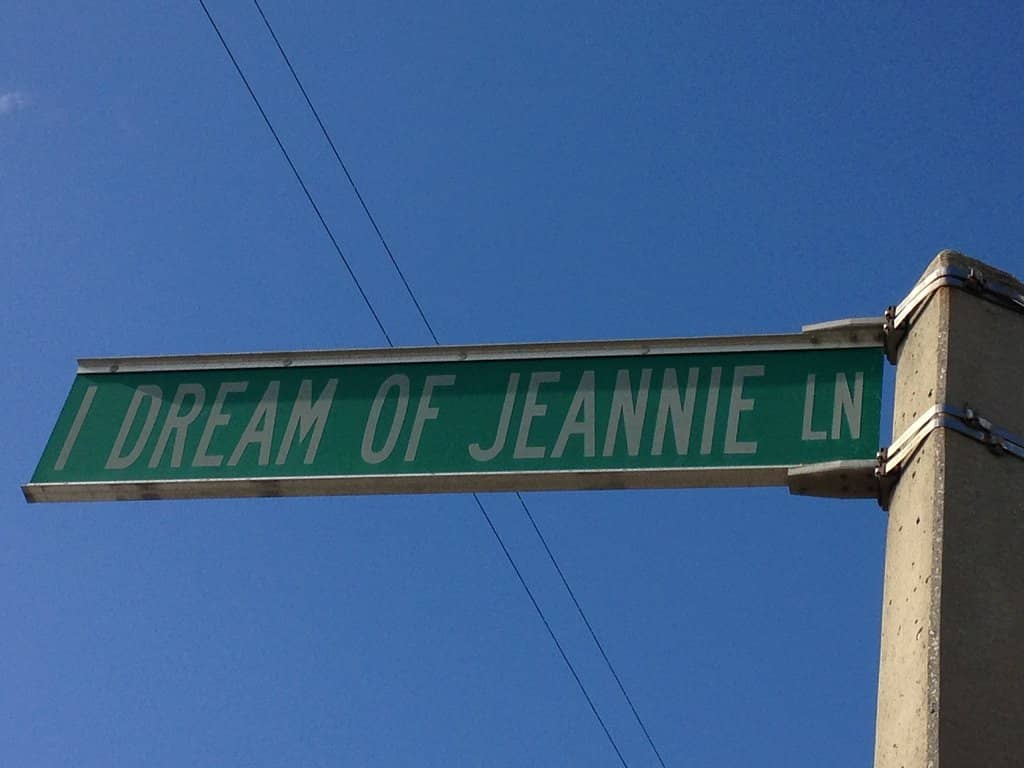 Flamboyant Trees in Bloom