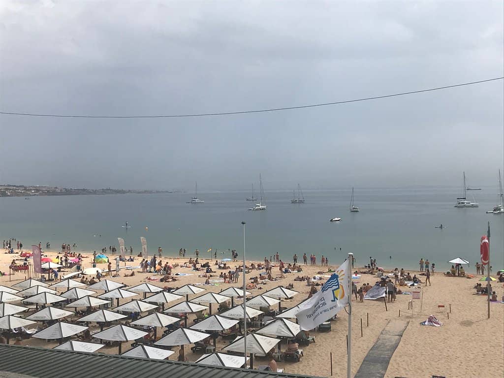 Magical Nighttime Ambiance