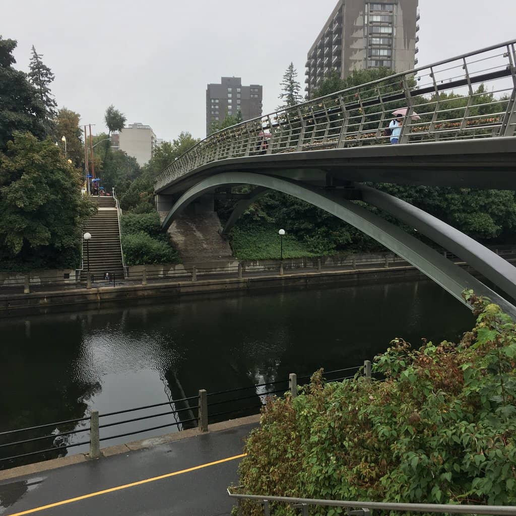 Fins to Feathers Artwork