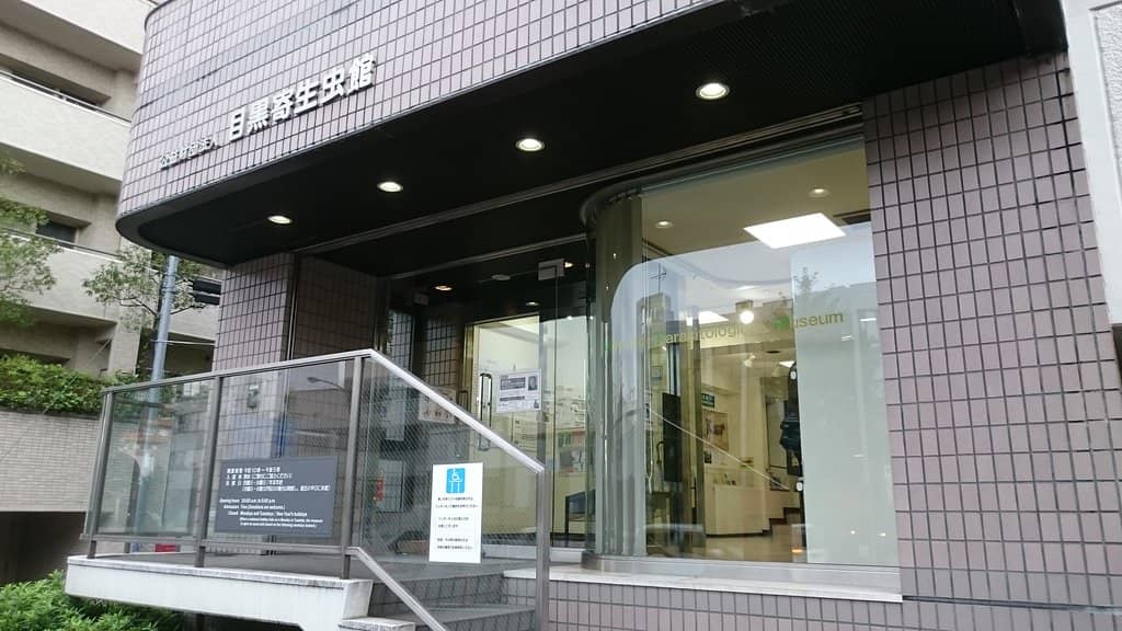 The 8.8-Meter Tapeworm