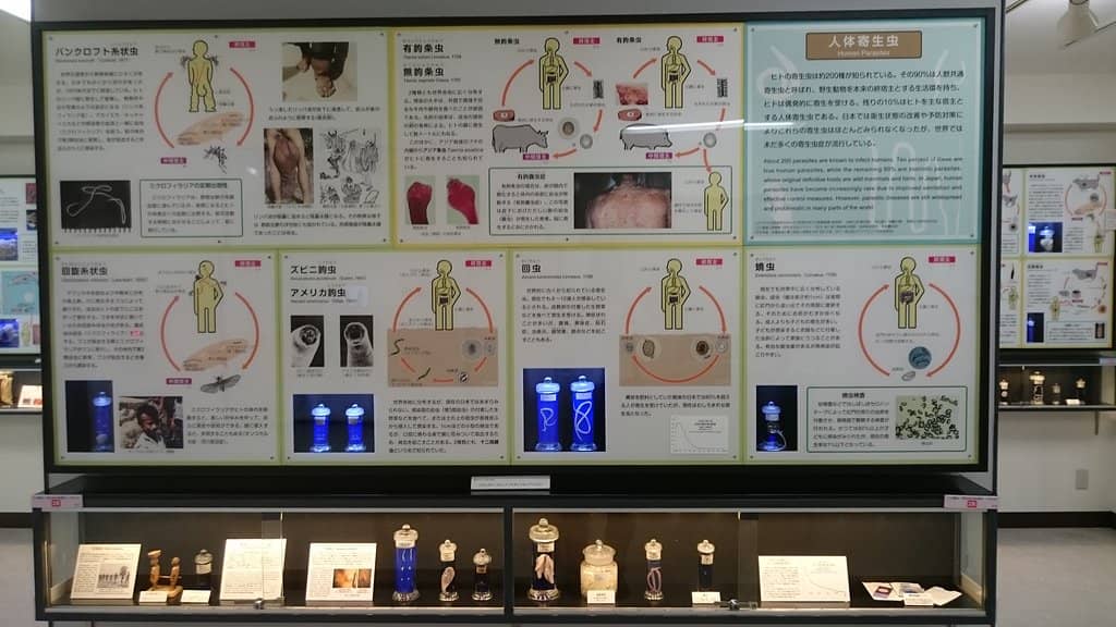 Educational Exhibits