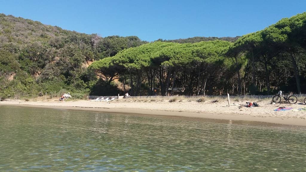 Serene Natural Ambiance