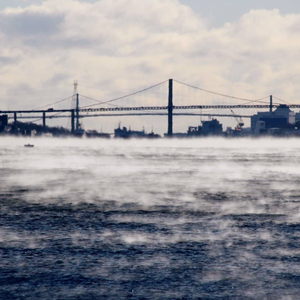 Sprawling Green Spaces