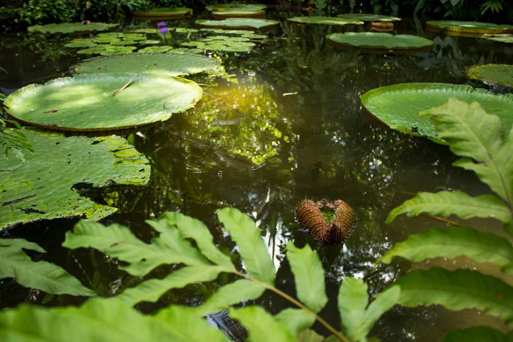 The 'Castle' Reservoir