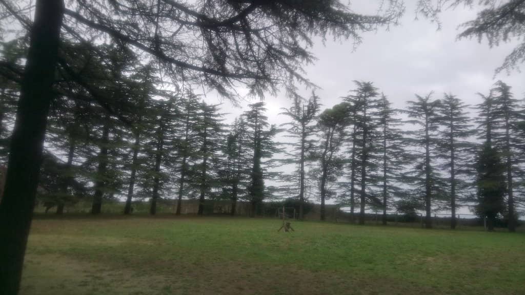 Restored Castle Grounds