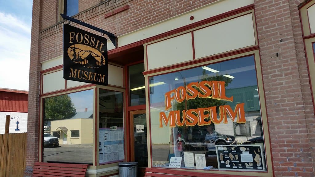 Front Entrance of the Fossil Museum