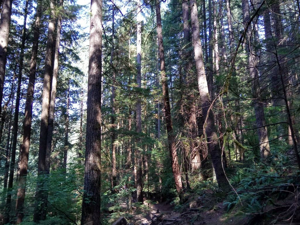 Vertical photo