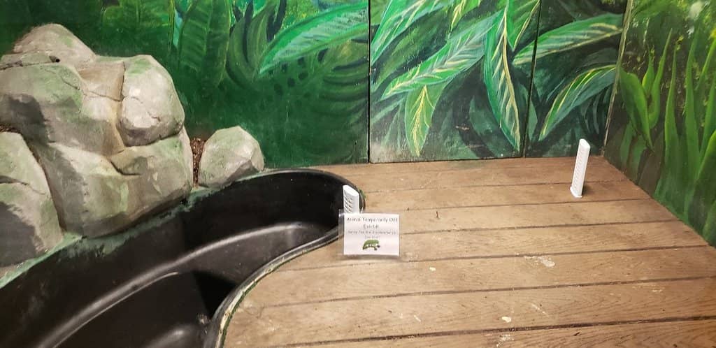 Adventure Activities