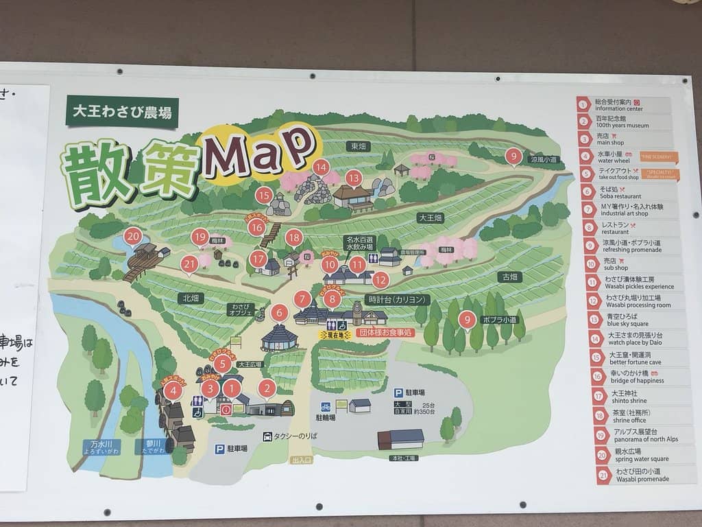 Wasabi-Infused Delights