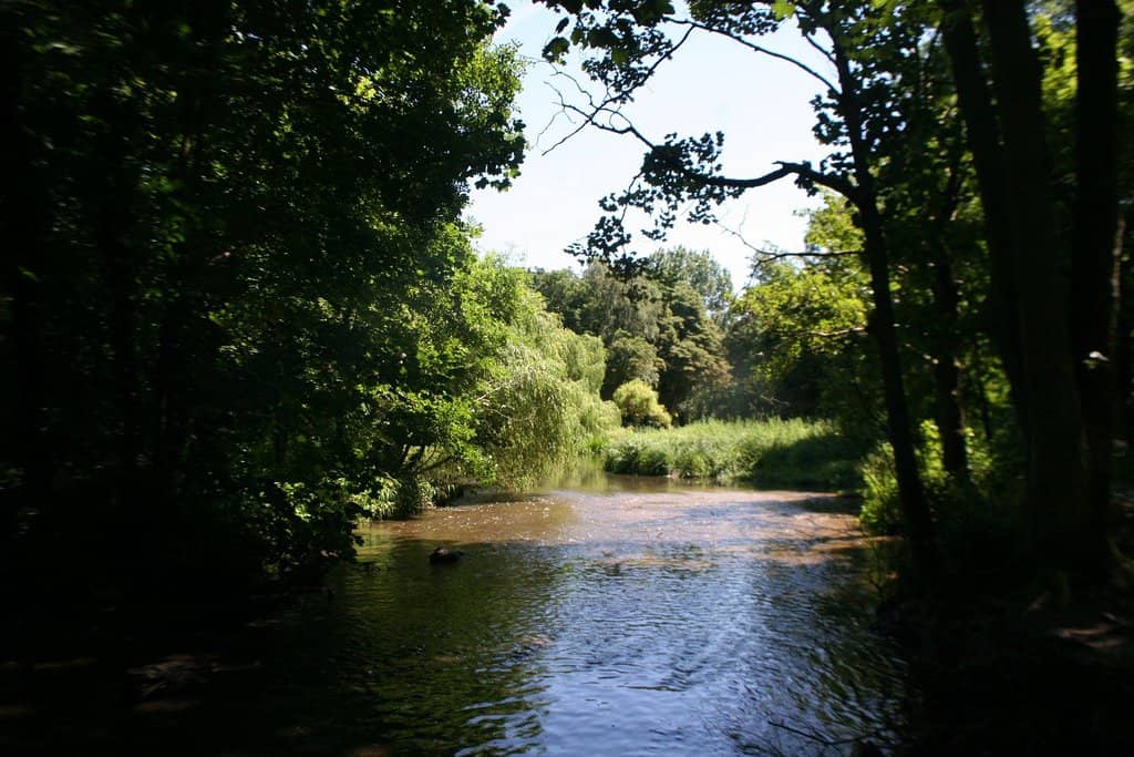 Grand Union Canal Walks