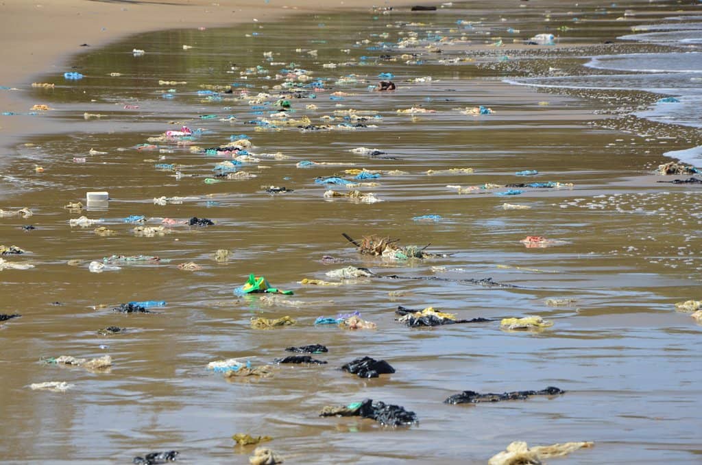 Relaxing Beach Vibes