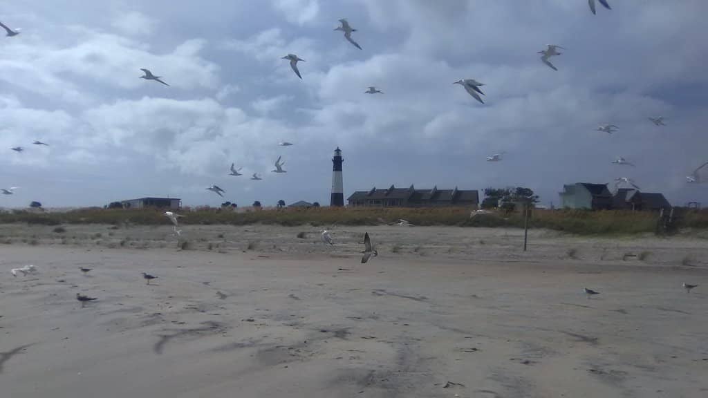 Forte de São Miguel Arcanjo