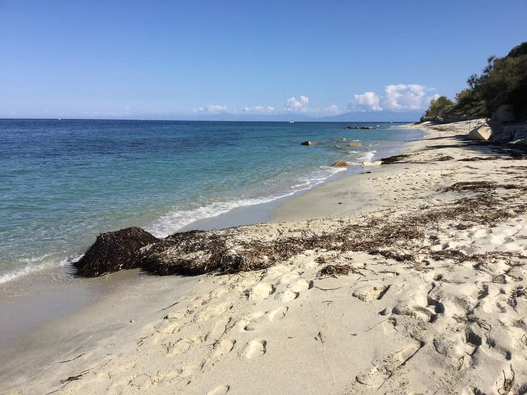 Crystal-Clear Waters