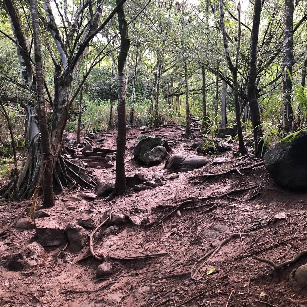 Golden Hour & Sunset Spectacle