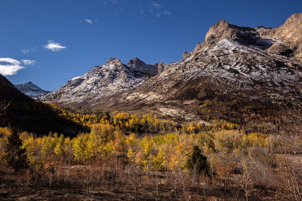 Lamoille Canyon Scenic Byway Nevada