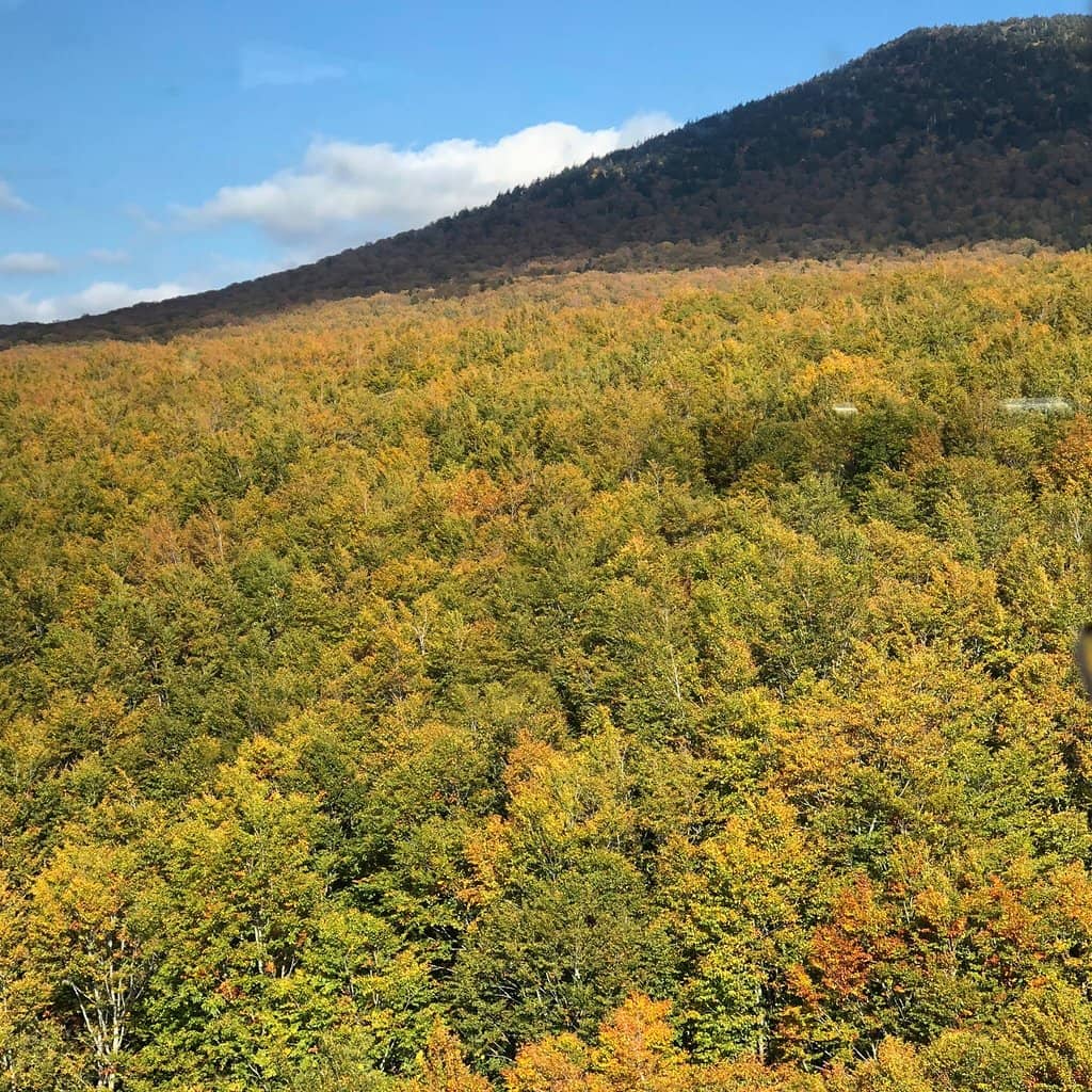 Alpine Hiking Trails