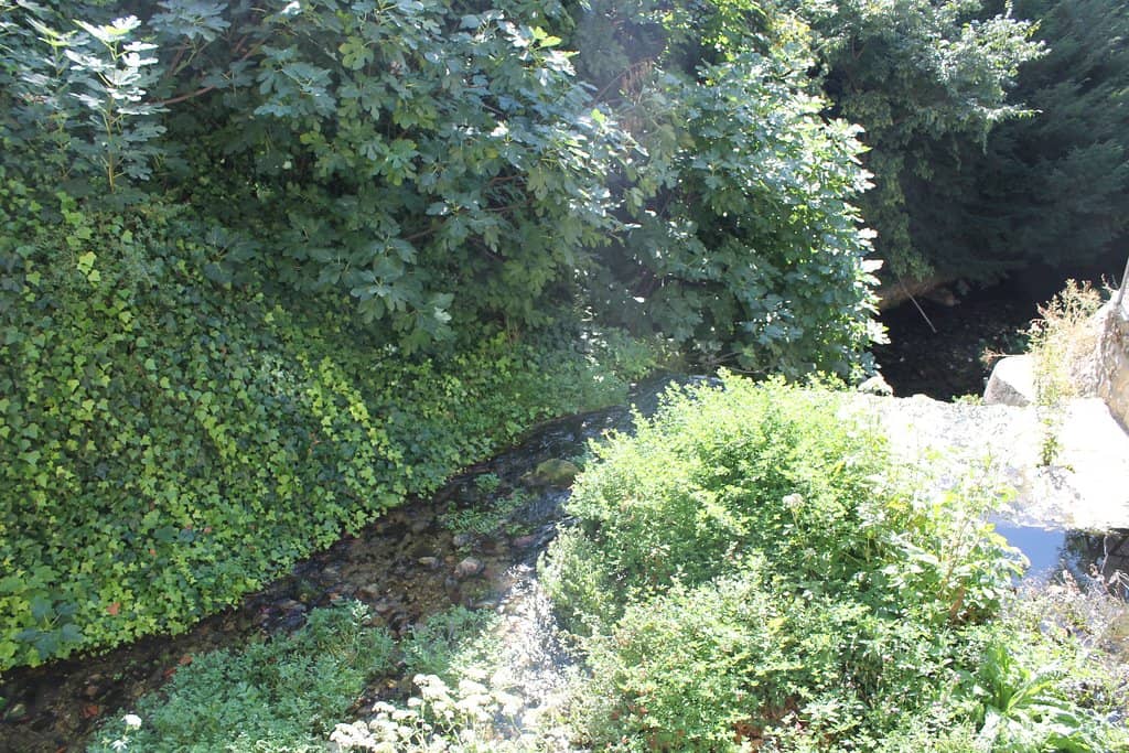 Church Information Center