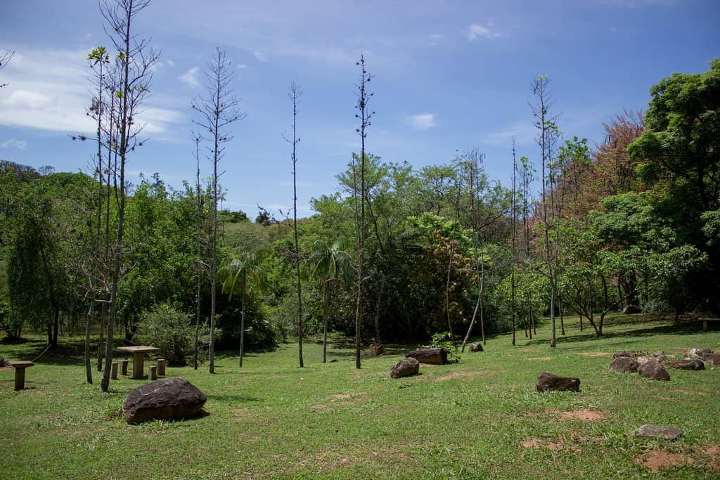 Burle Marx Landscaping