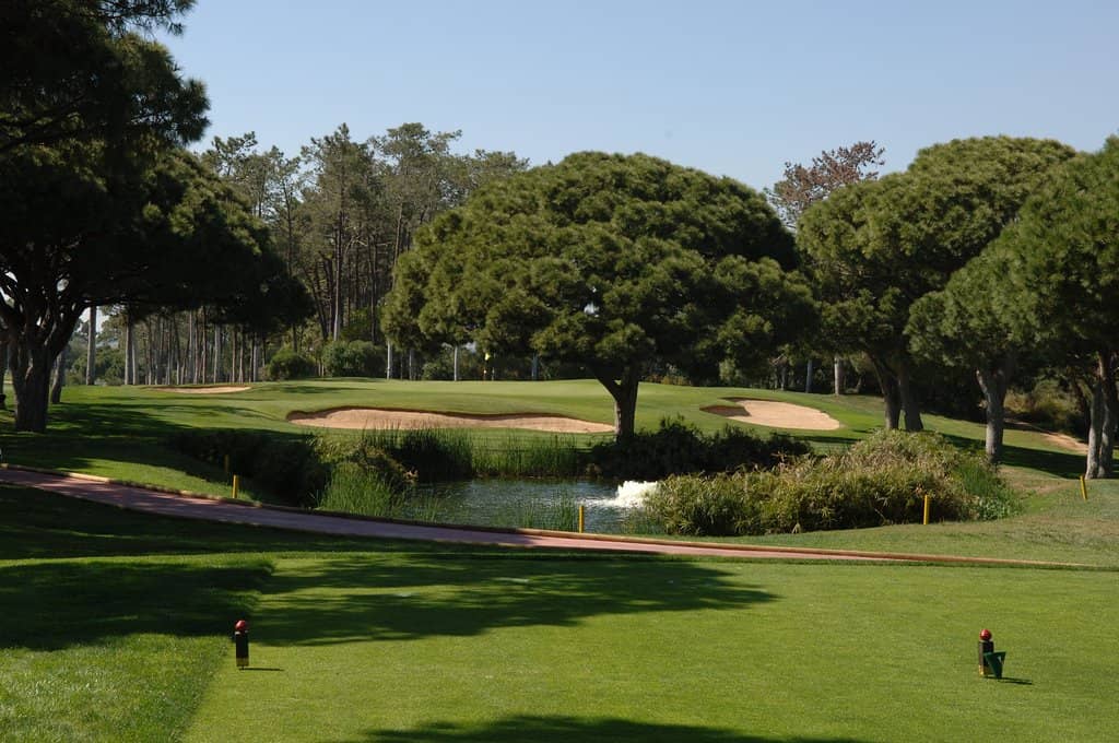 Challenging Greens