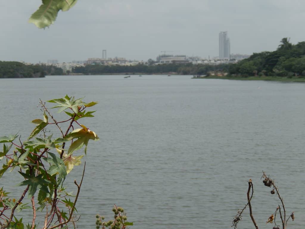 Lakeside Walking Paths