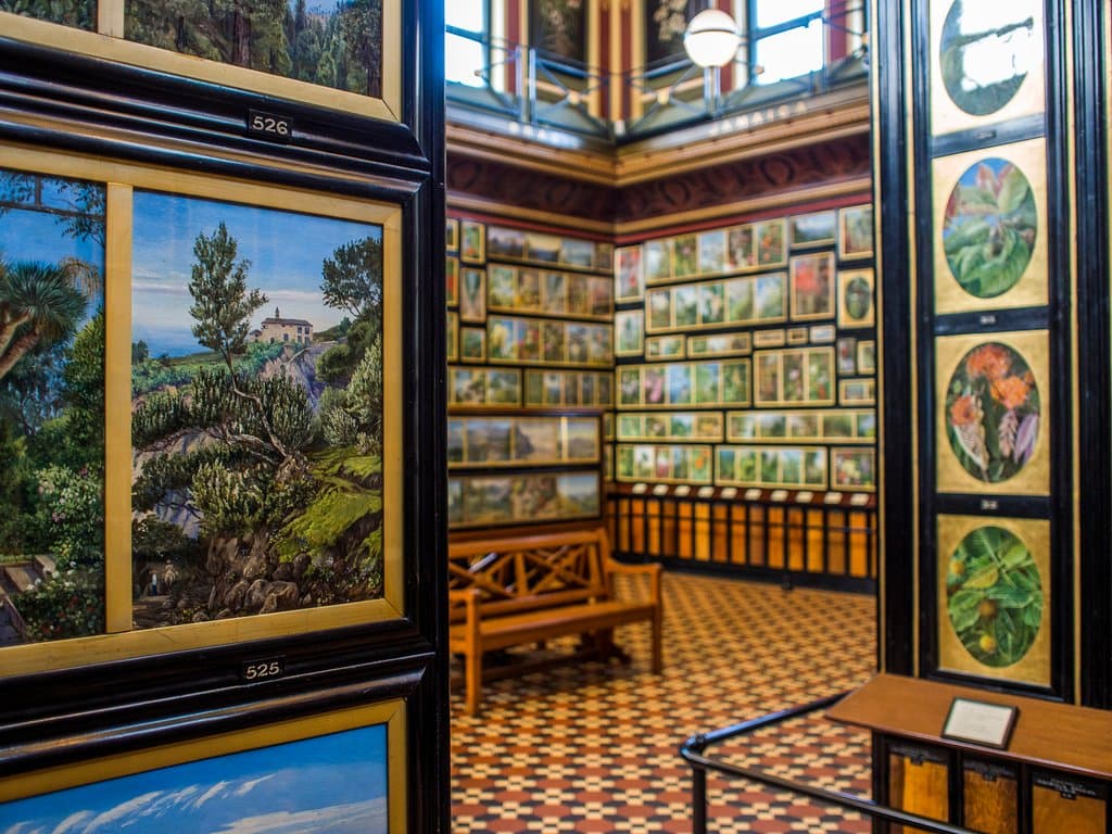 amazing body of work