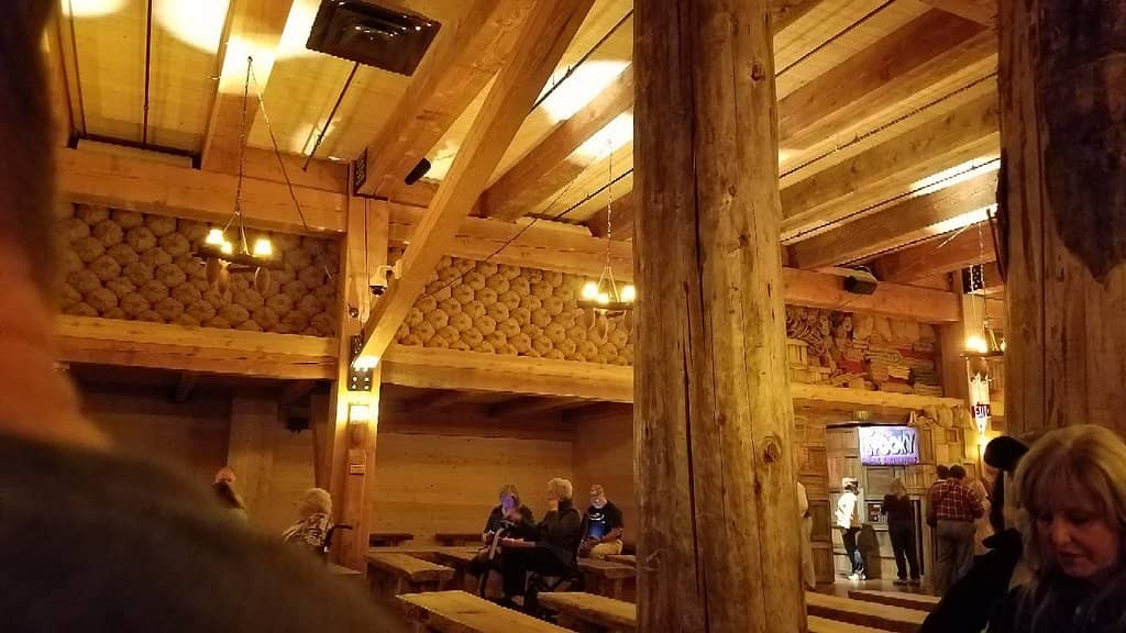 Petting Zoo & Zip Line