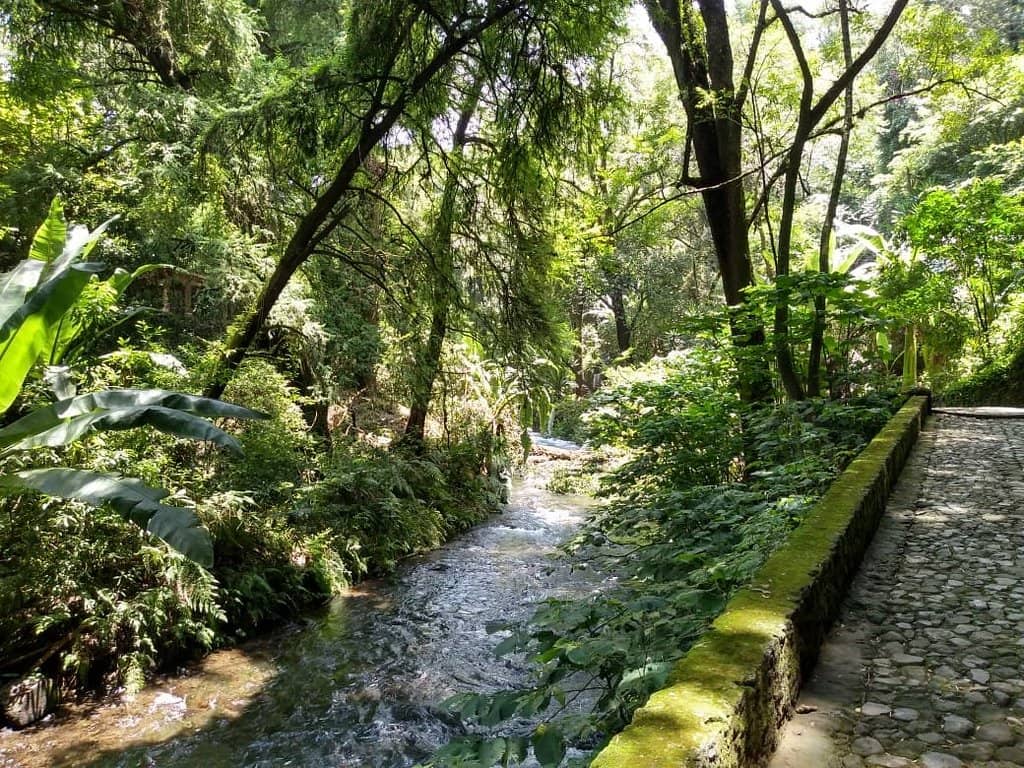 Lush Biodiversity