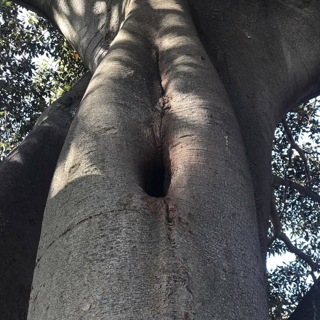 Beachside Playground