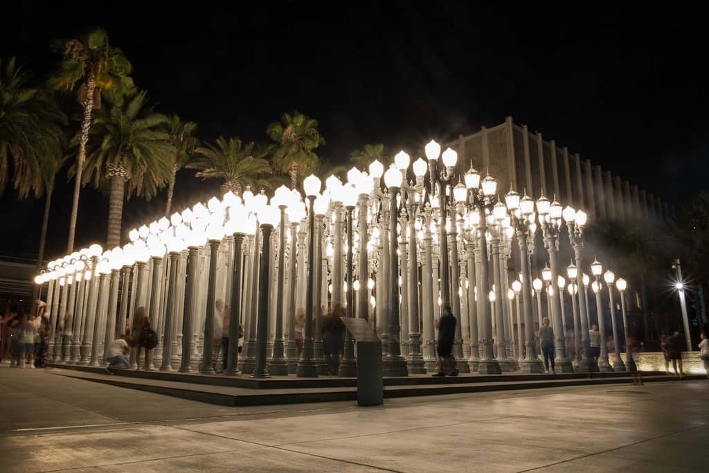 The Forest of Lights