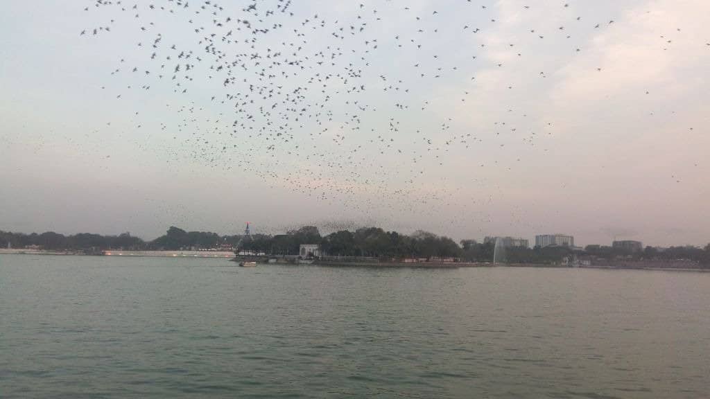 Illuminated Lakefront