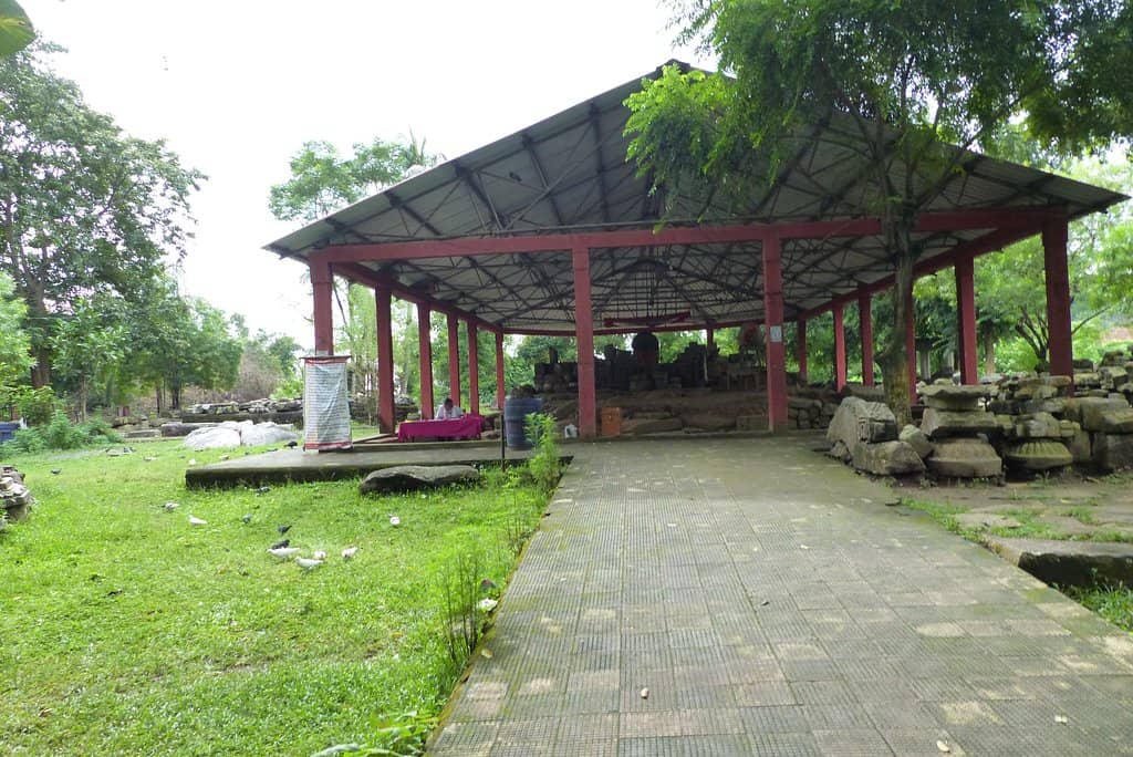 Natural Surroundings