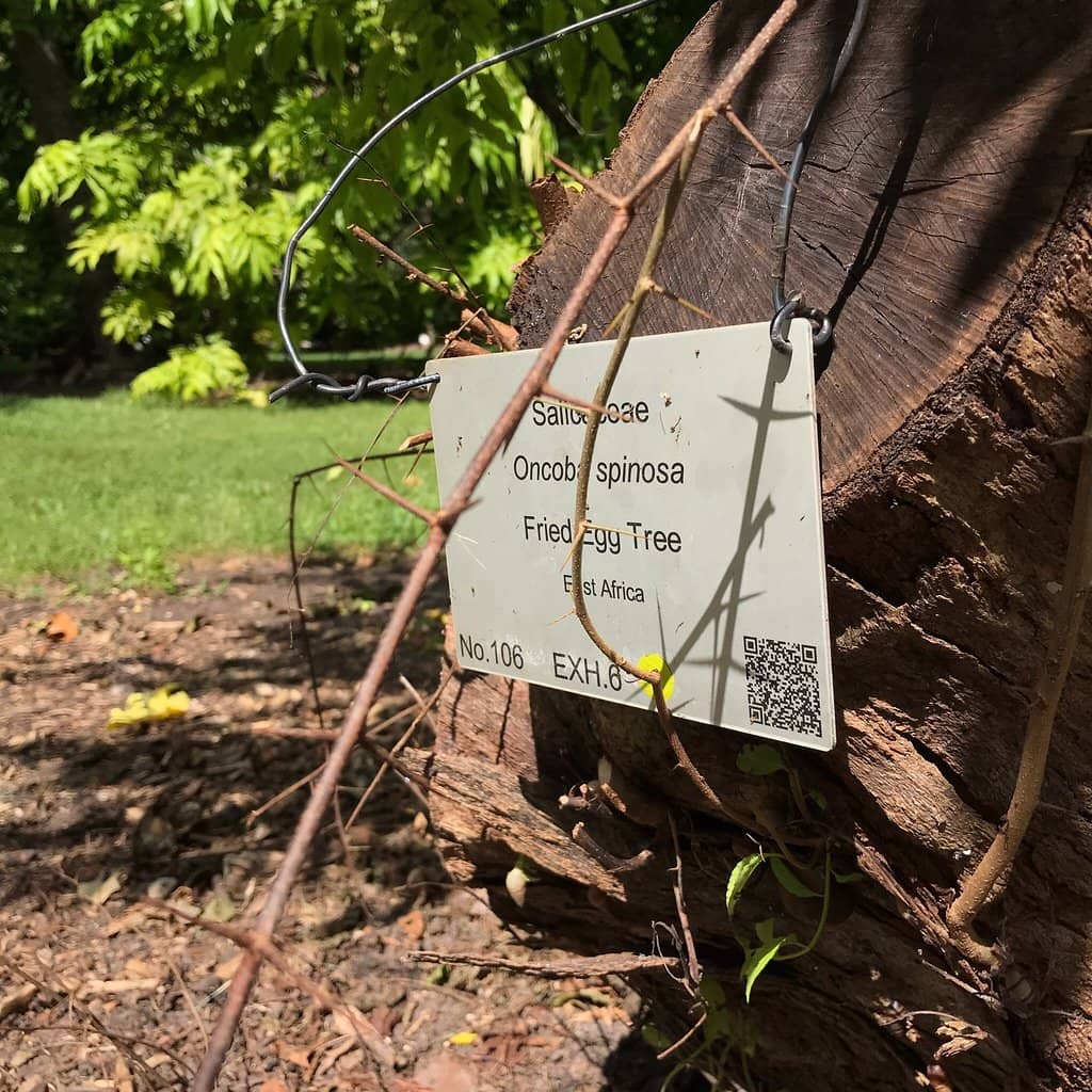 Community Sustainable Garden