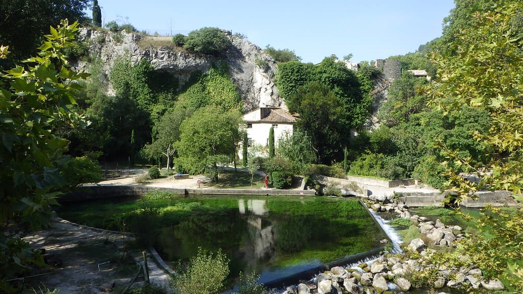 Part of the river