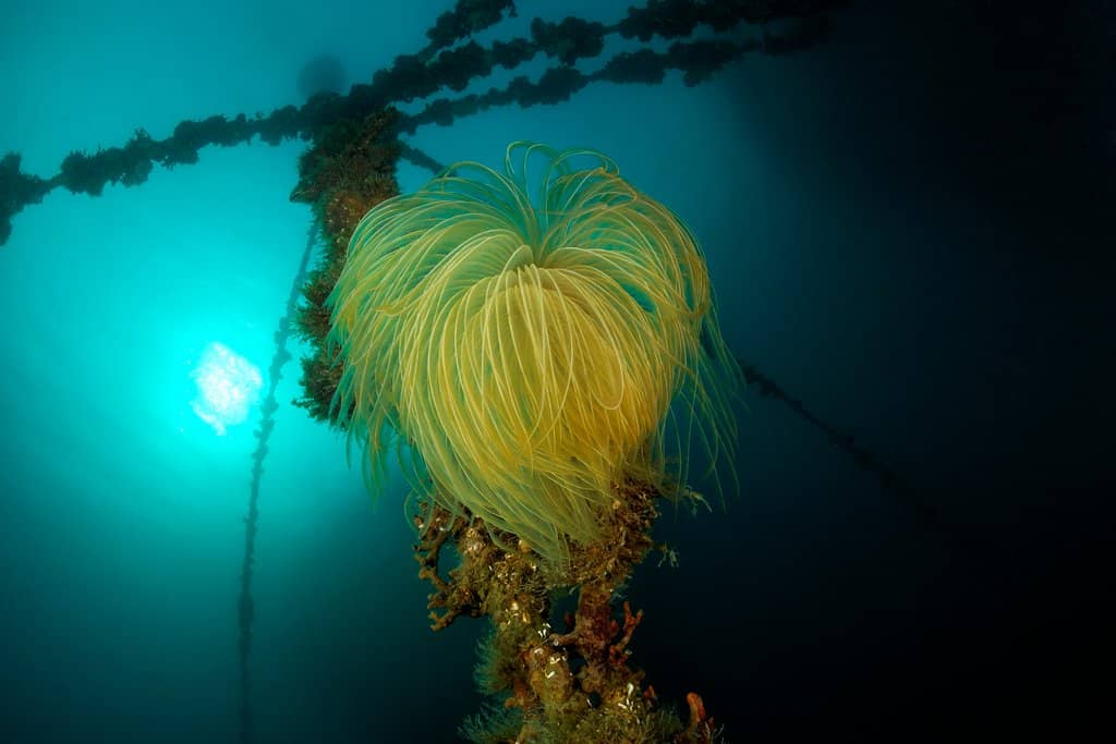 Seafood Tasting Experience