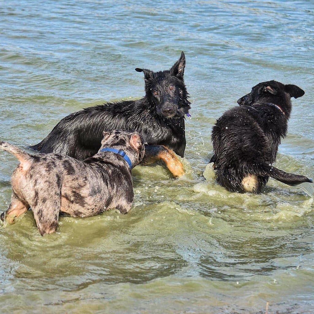 Walnut Woods Metro Park